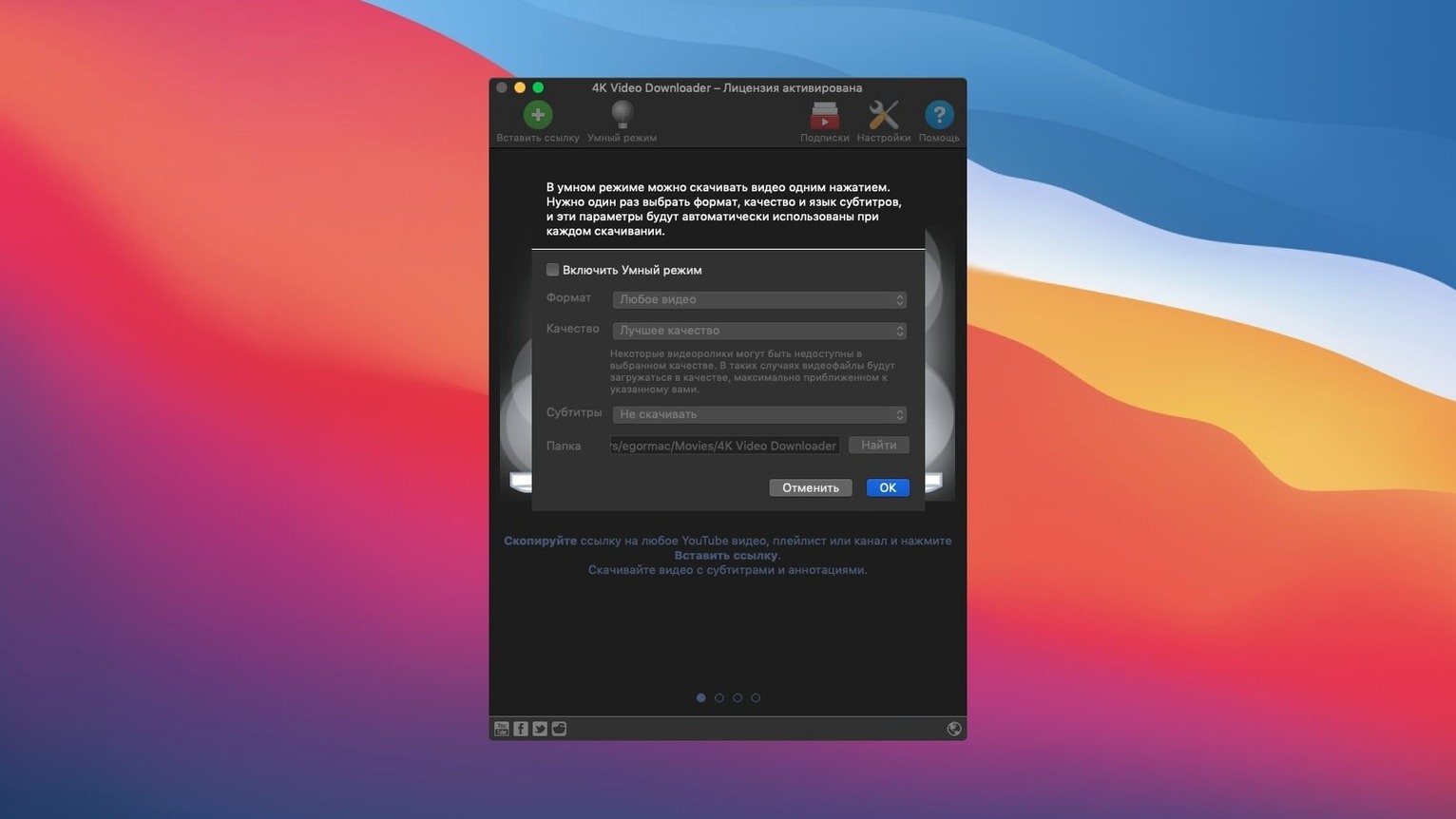View 2 of 4: 4K Video Downloader 4K Video Downloader panel 2