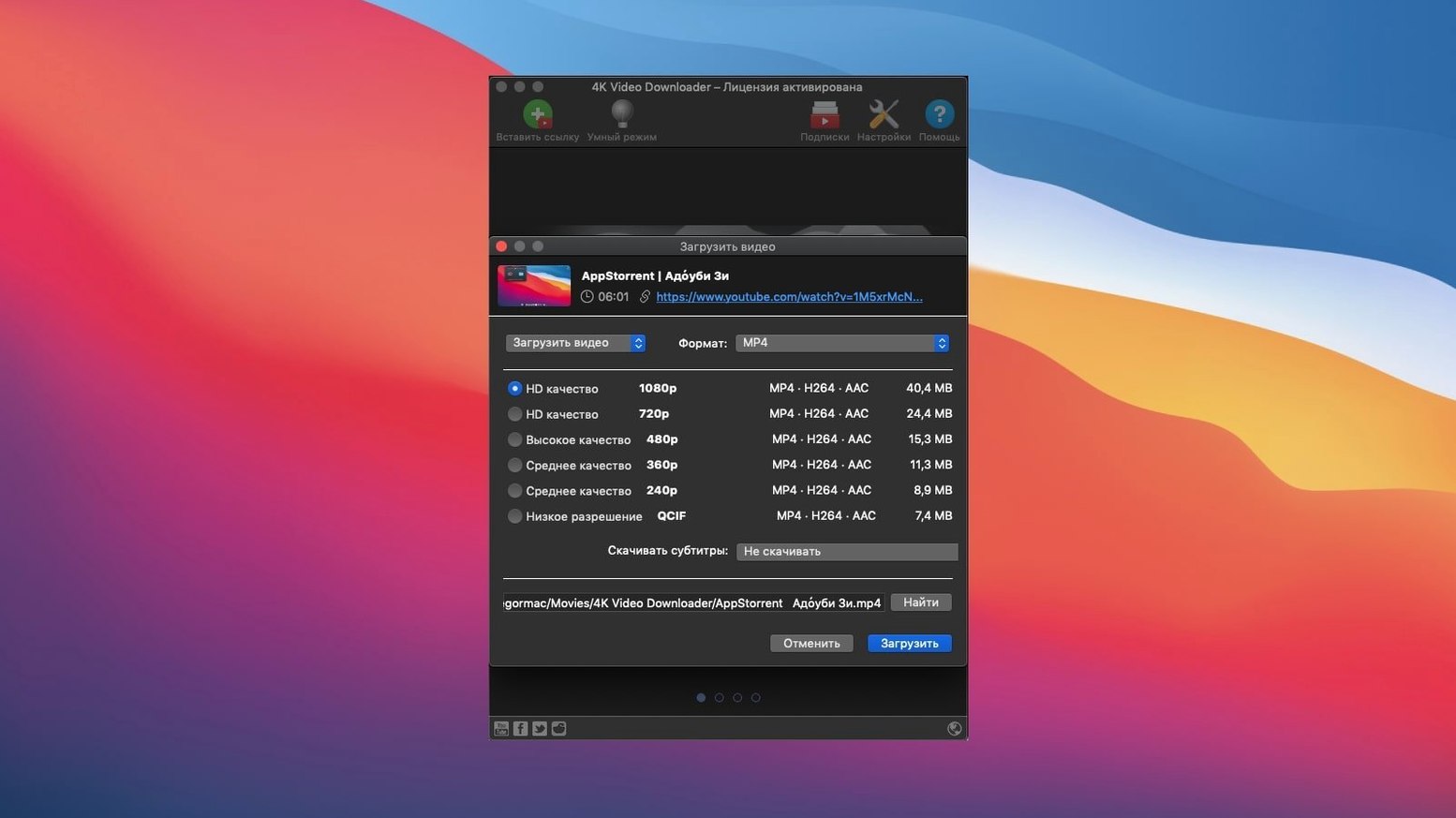 View 3 of 4: 4K Video Downloader 4K Video Downloader panel 3