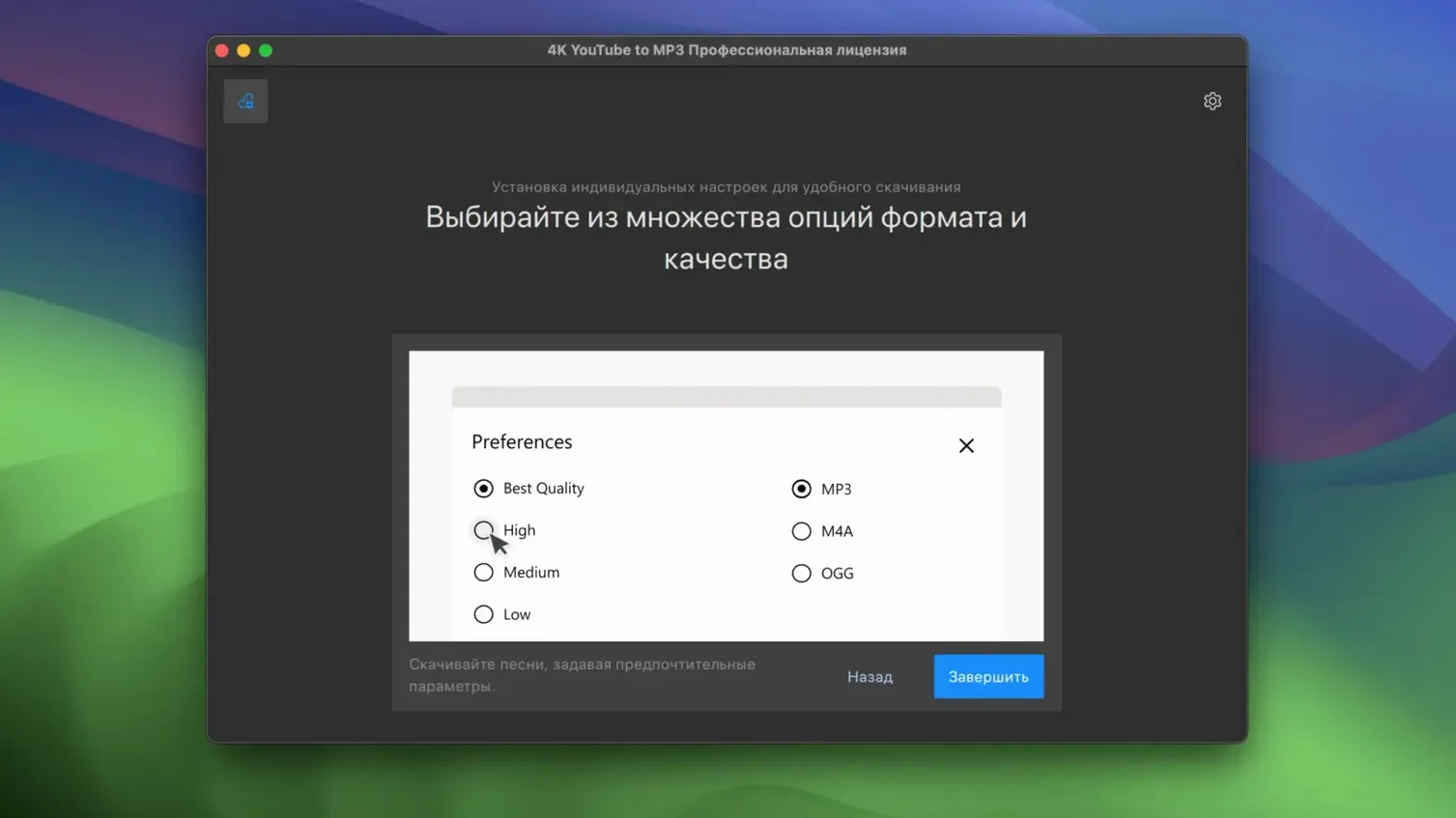 View 2 of 4: 4K YouTube to MP3 4K YouTube to MP3 panel 2