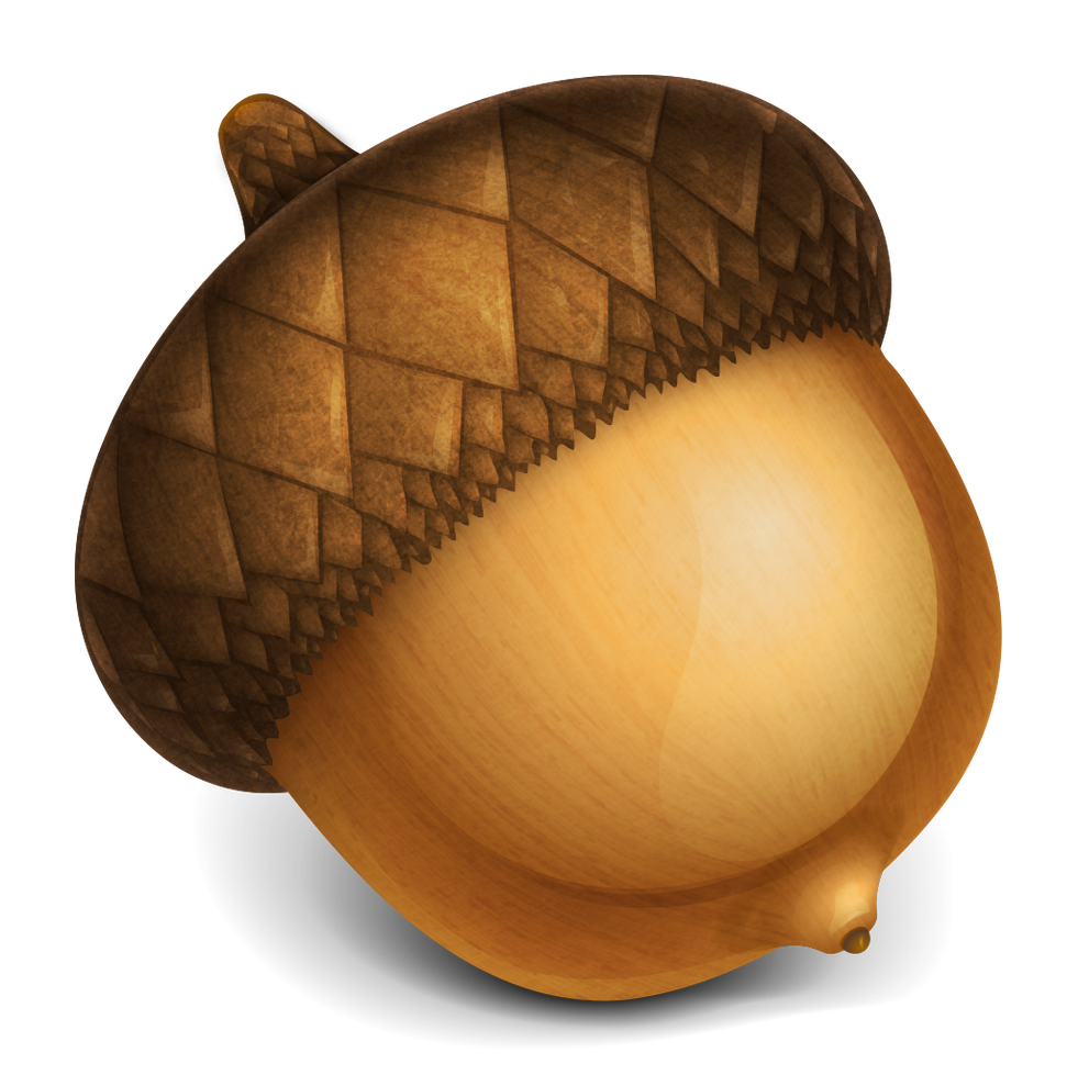 App icon of Acorn
