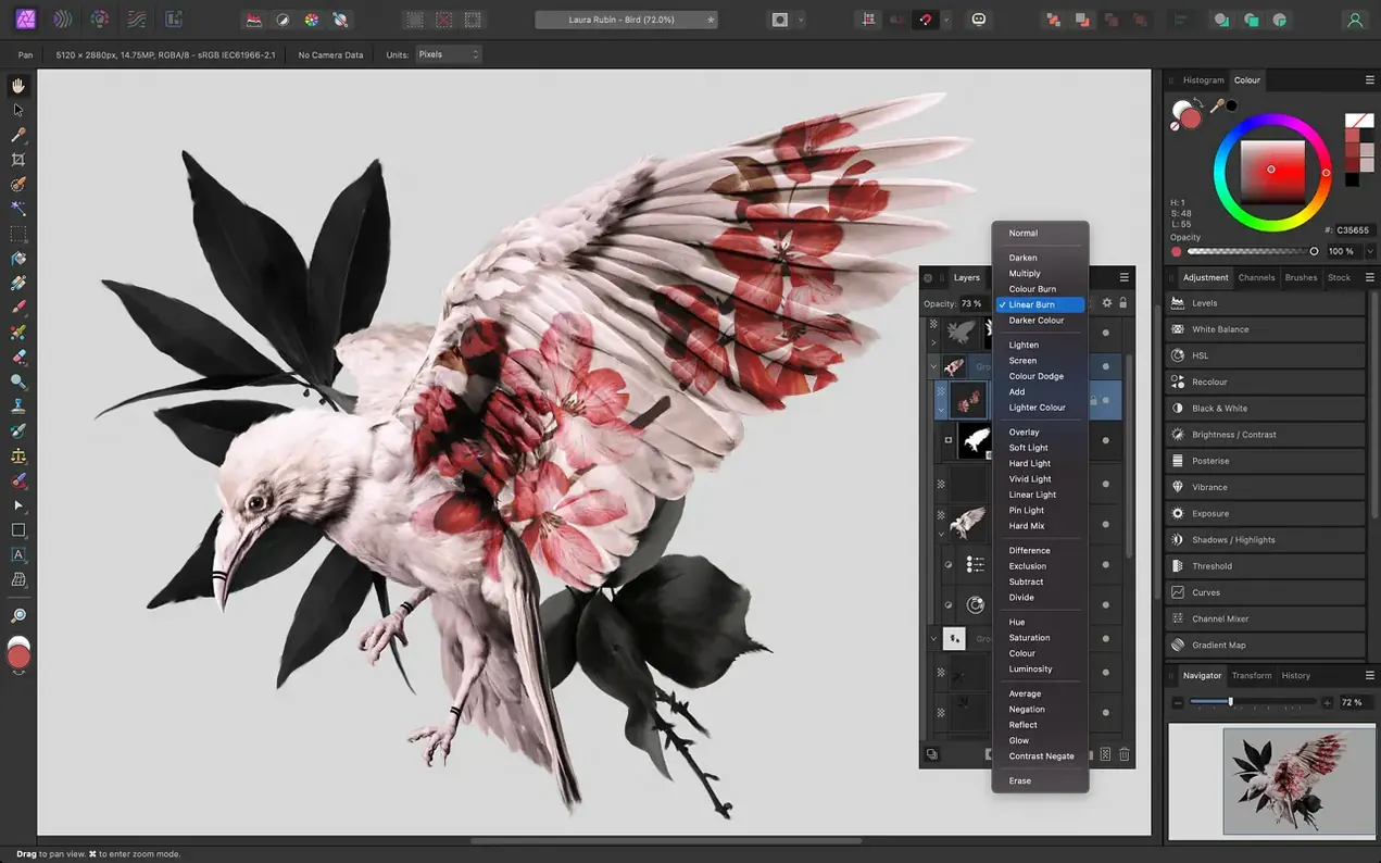 Affinity Photo: view #2 Affinity Photo layout 2