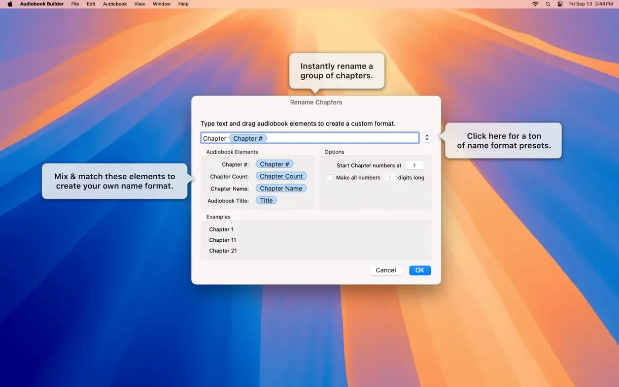 View 5 of 6: Audiobook Builder Audiobook Builder panel 5