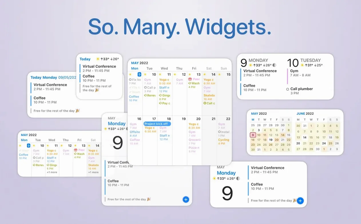 View 7 of 7: BusyCal BusyCal panel 7