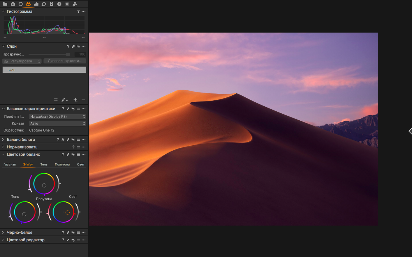 View 2 of 4: Capture One Capture One panel 2