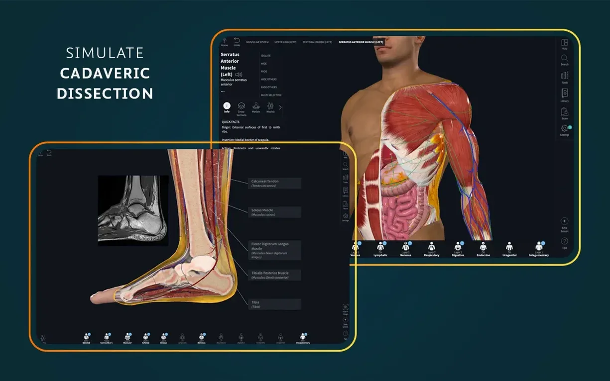 View 2 of 8: Complete Anatomy Complete Anatomy panel 2