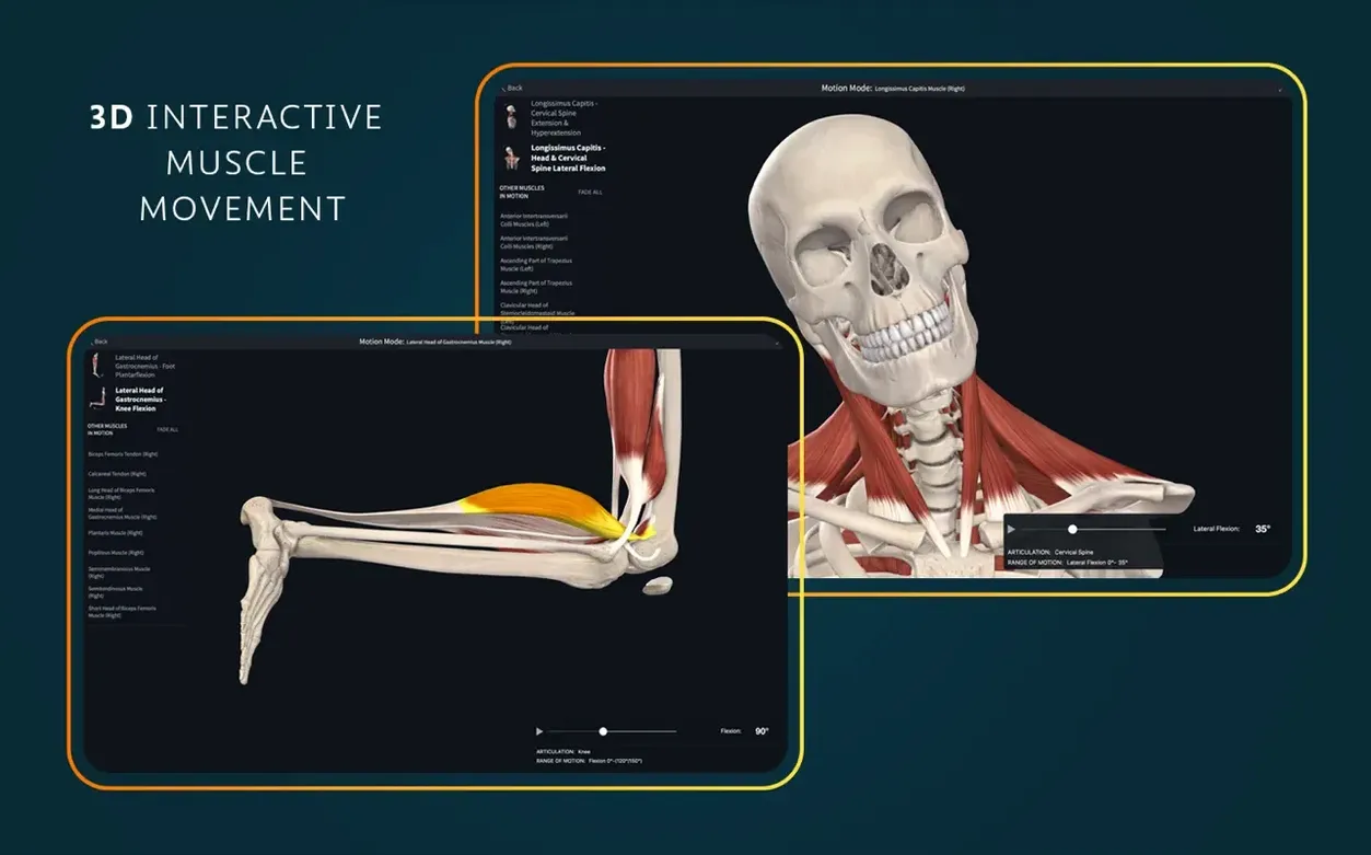 View 3 of 8: Complete Anatomy Complete Anatomy panel 3