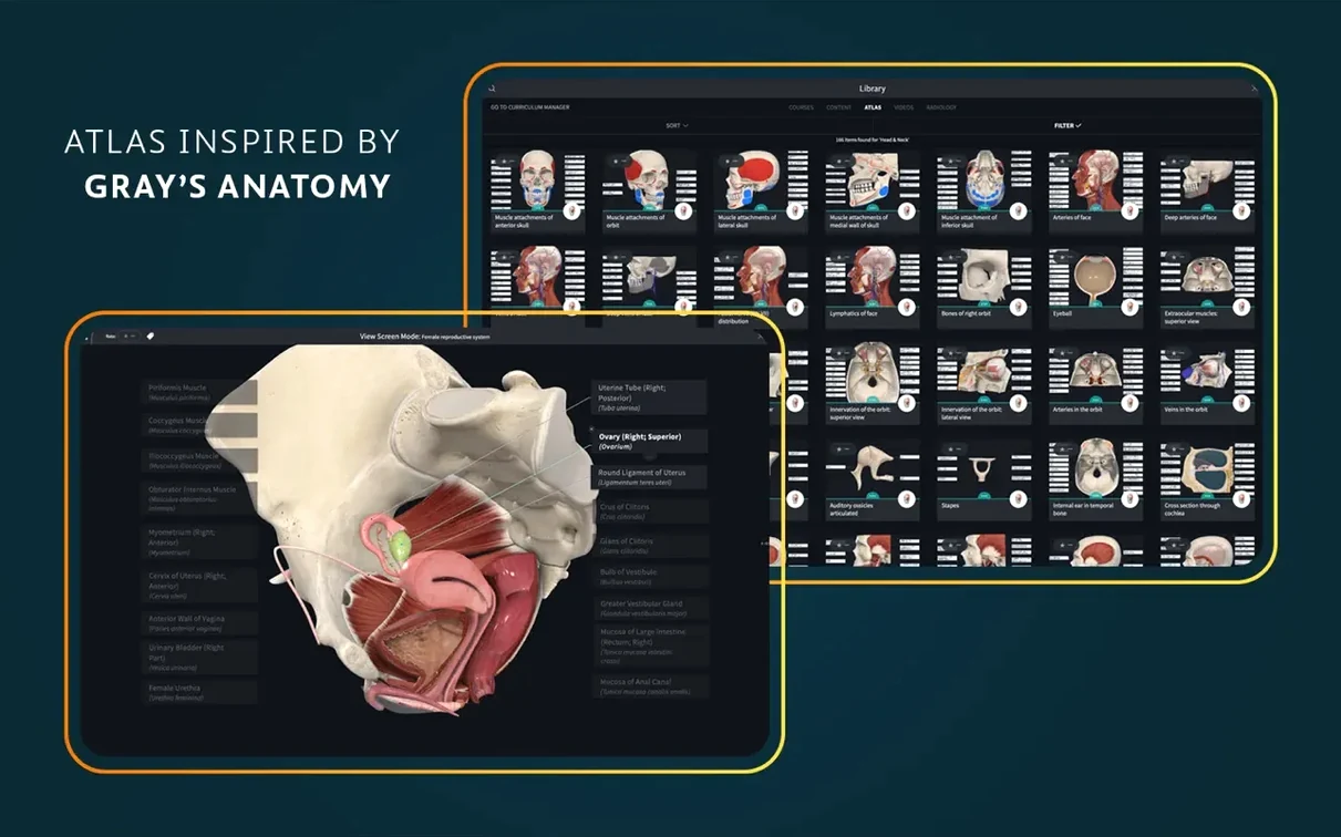 Complete Anatomy: view #5 Complete Anatomy layout 5