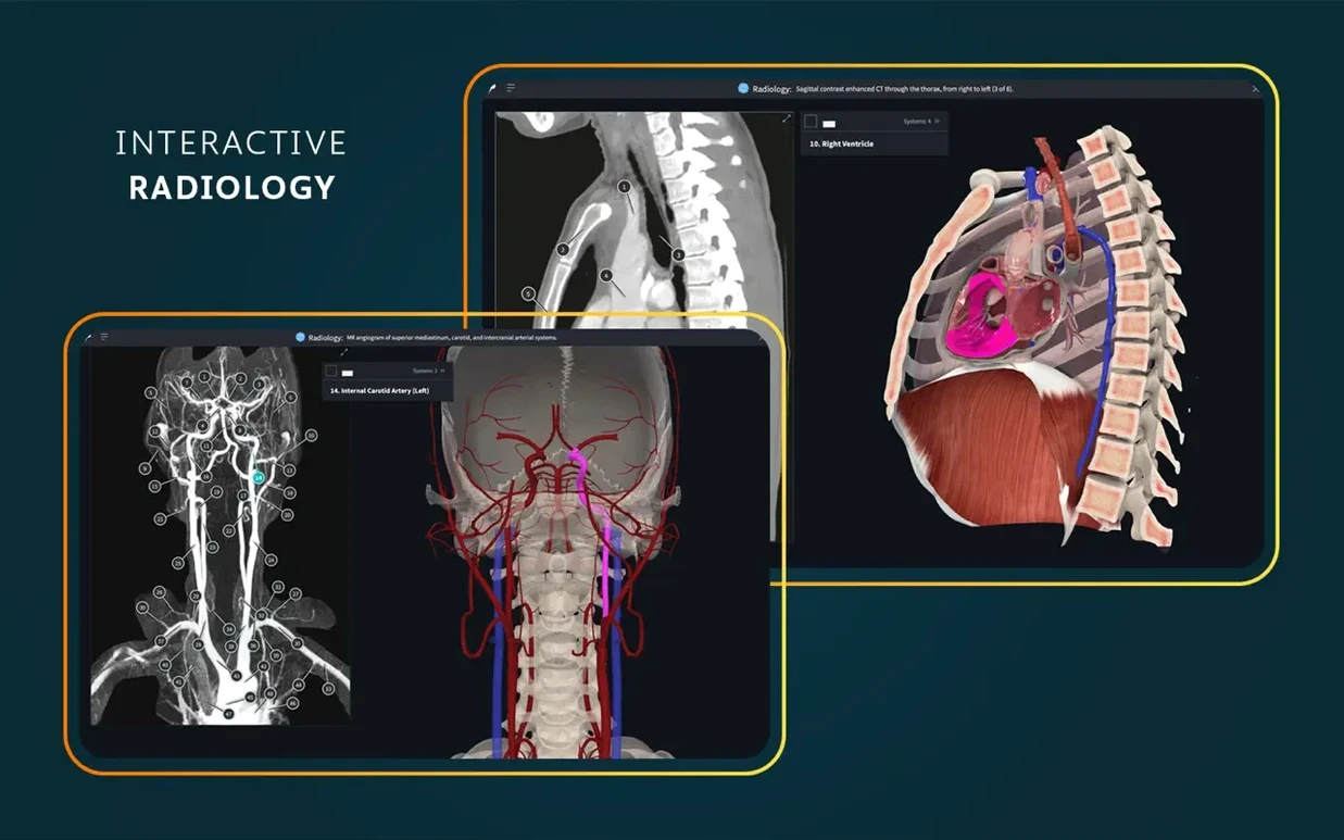 Complete Anatomy: view #7 Complete Anatomy layout 7