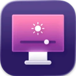 Small DisplayBuddy logo