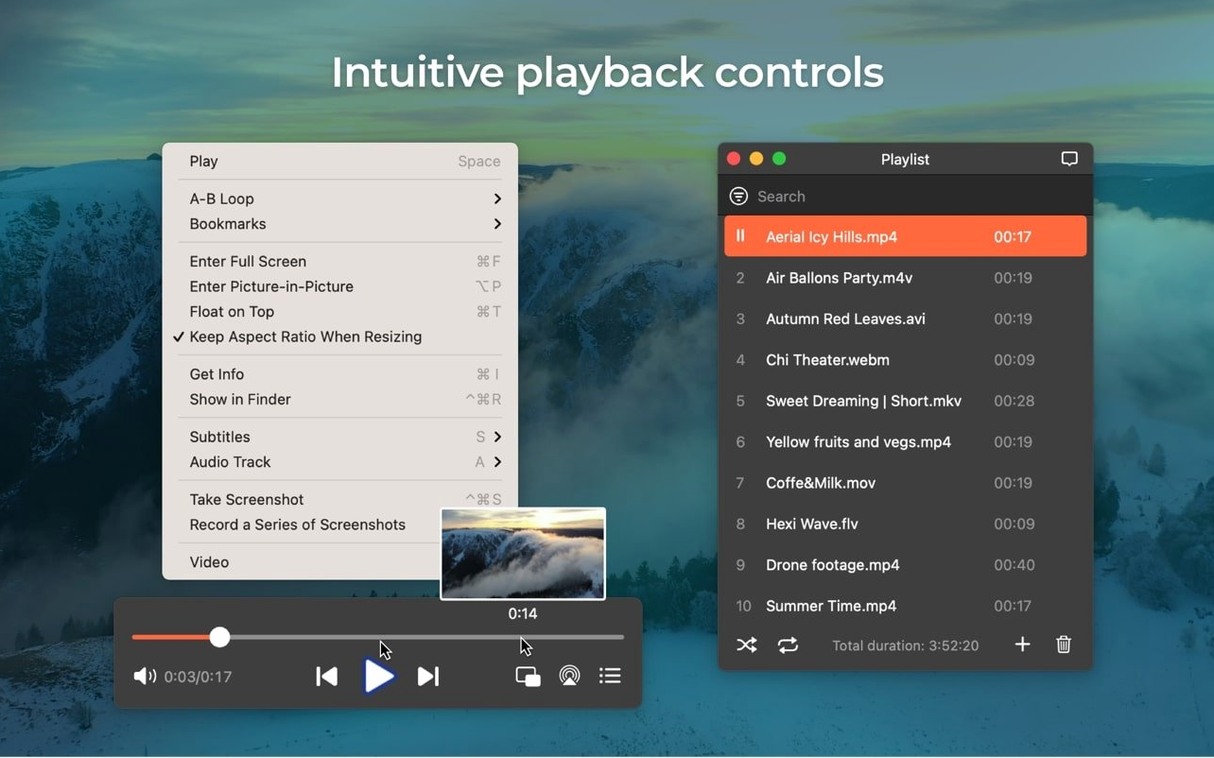 View 2 of 4: Elmedia Player Pro Elmedia Player Pro panel 2