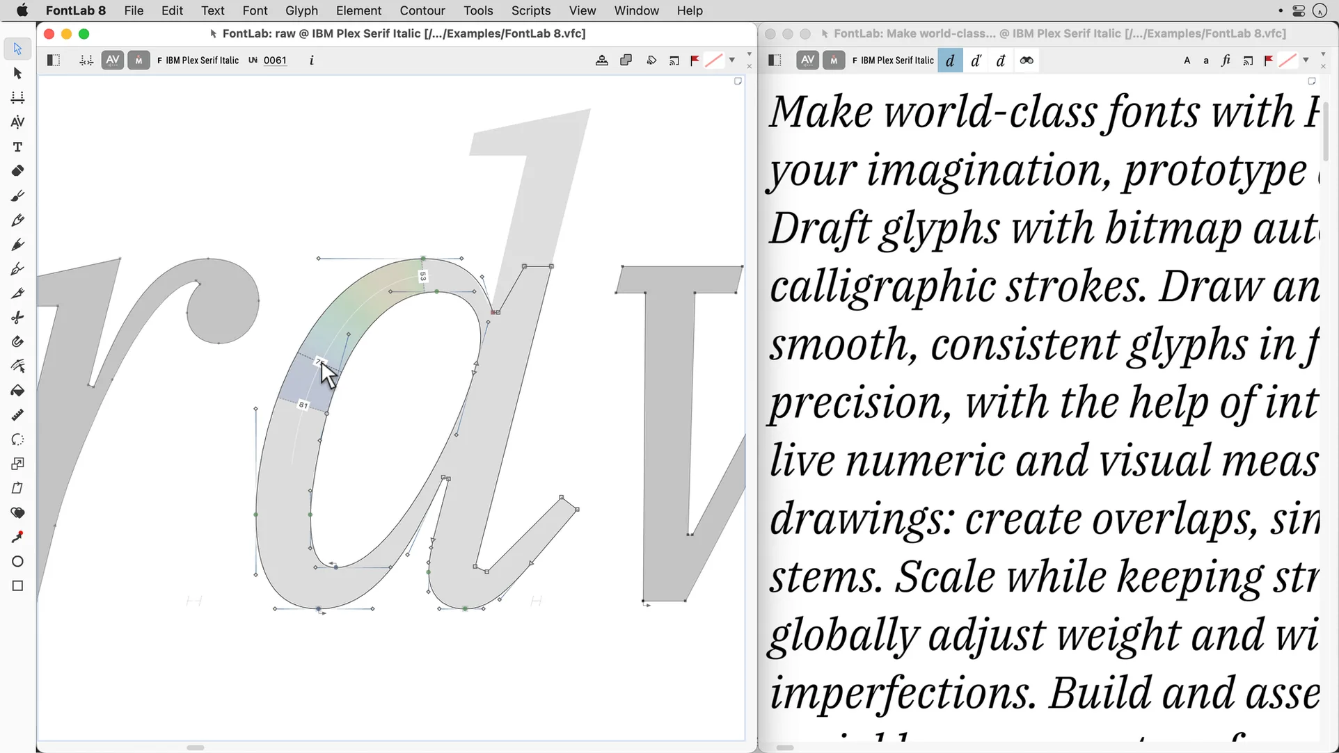 FontLab: view #3 FontLab layout 3