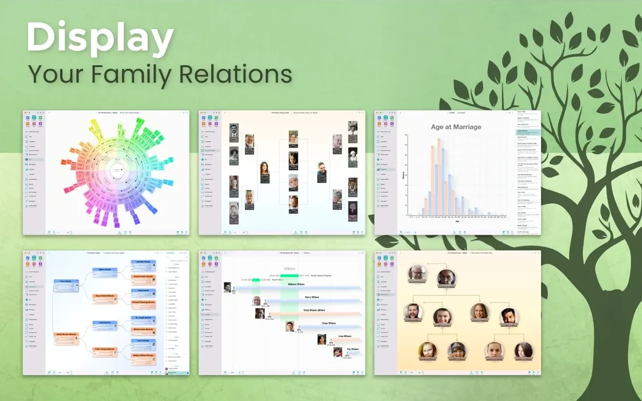 View 3 of 4: MacFamilyTree MacFamilyTree panel 3