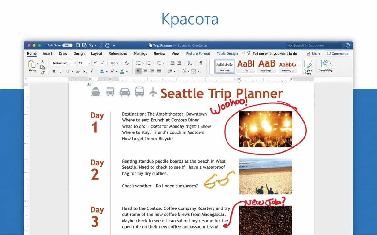 View 1 of 4: Microsoft Word torrent word: overview screen