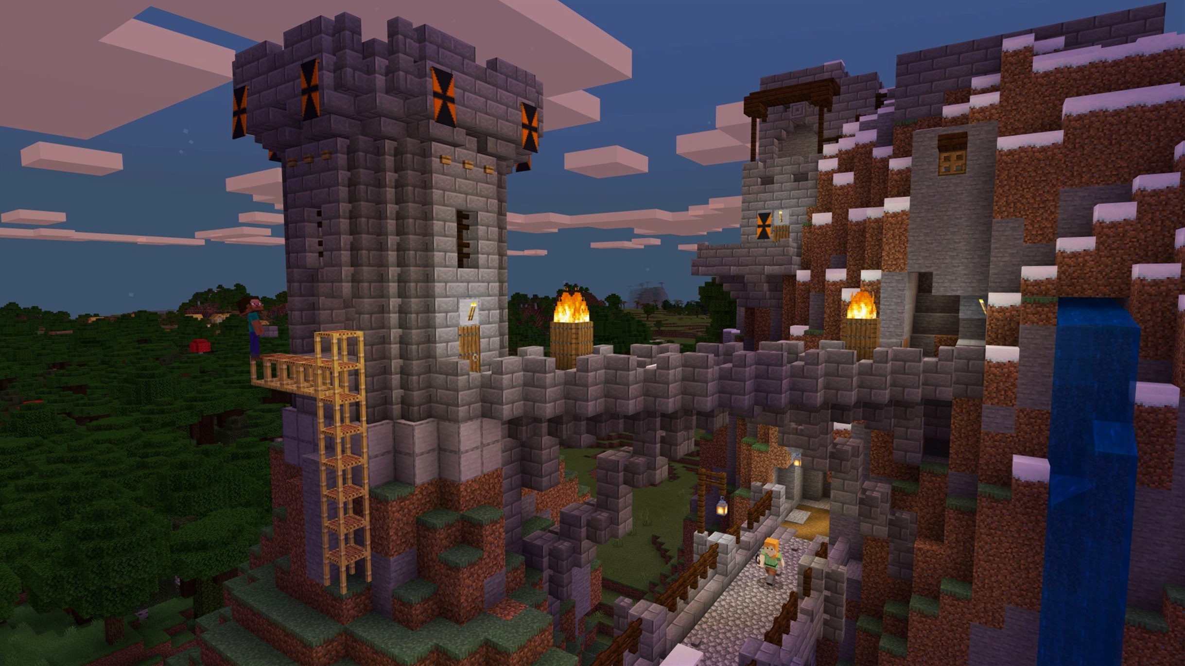 View 5 of 7: Minecraft Minecraft panel 5