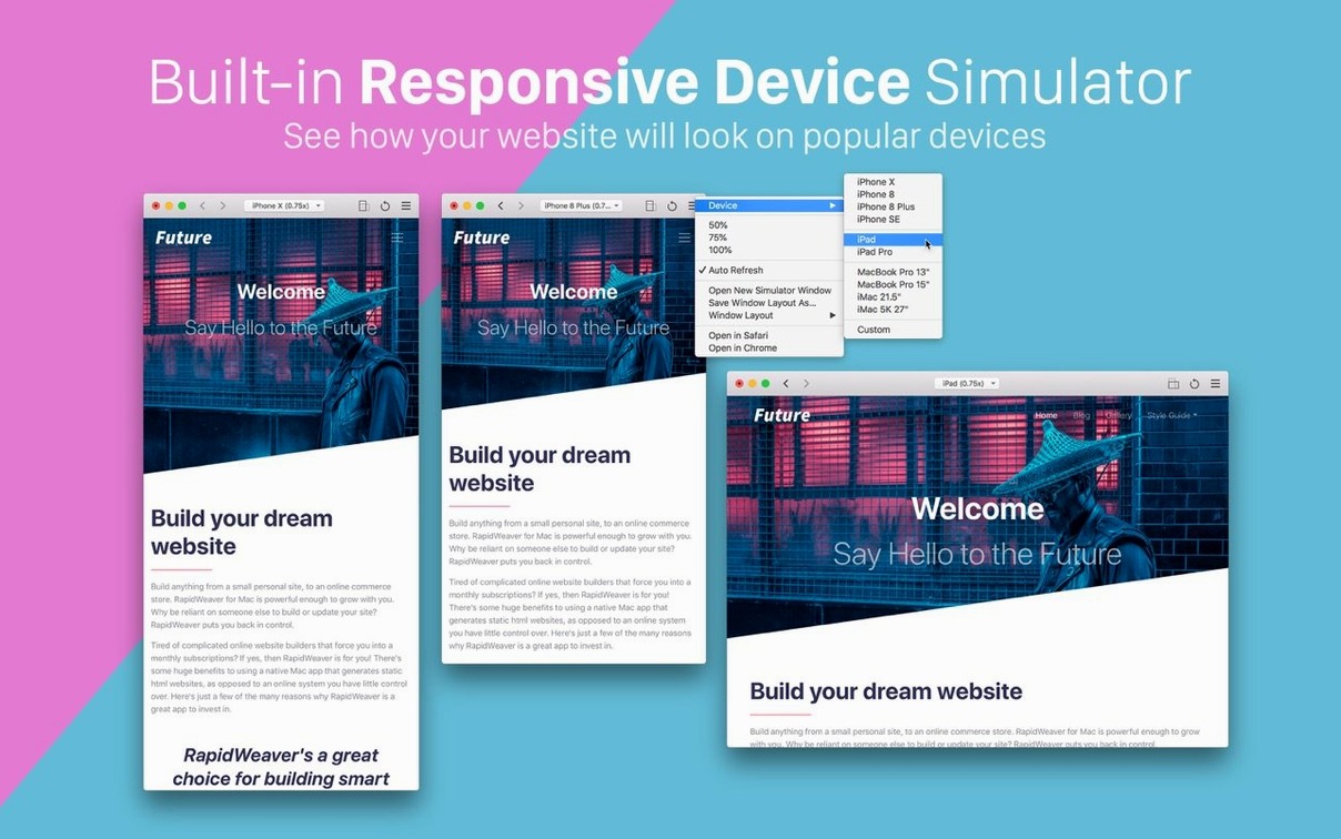 View 2 of 4: RapidWeaver 9 RapidWeaver 9 panel 2
