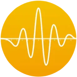 App icon of Swinsian