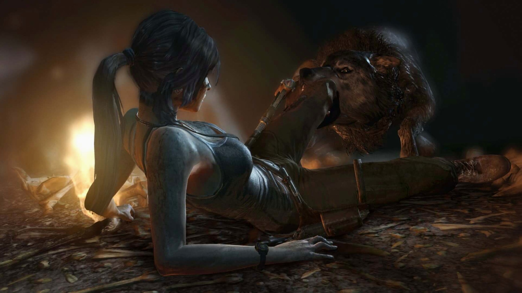 Tomb Raider: GOTY: view #3 Tomb Raider: GOTY layout 3