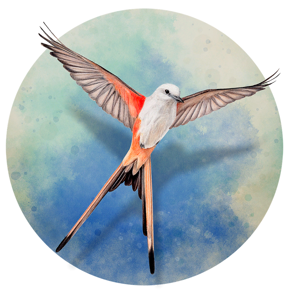 Small Wingspan logo
